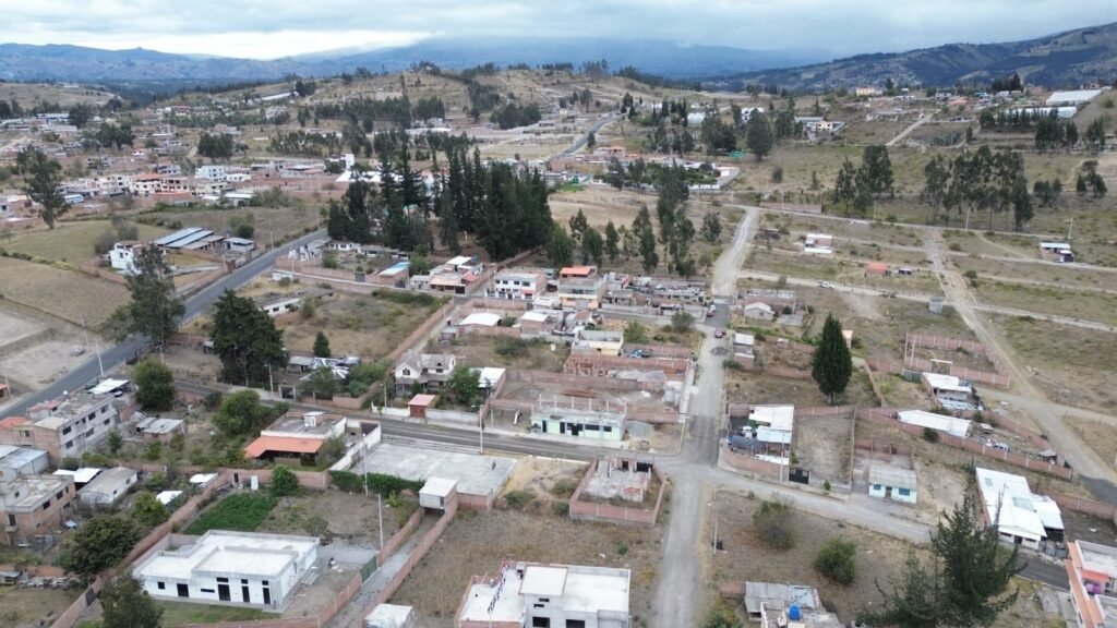 El rosal
