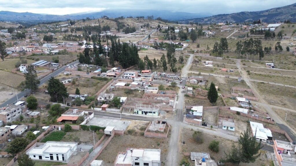 El rosal